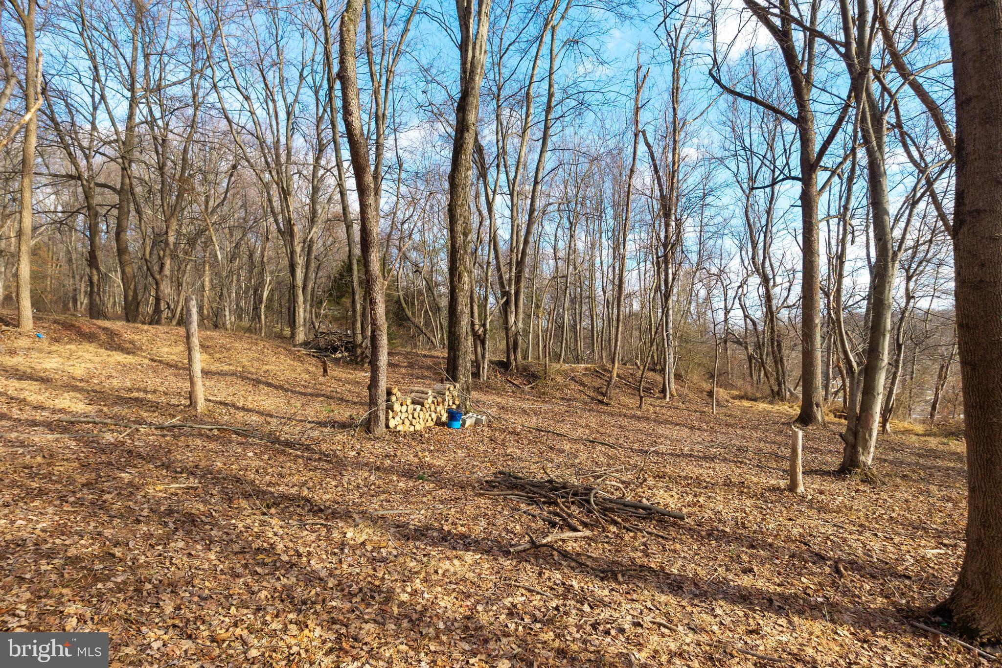 1615 St Peters Road Pottstown, PA 19465 - Photo 30 of 31 a view of a backyard with large trees
