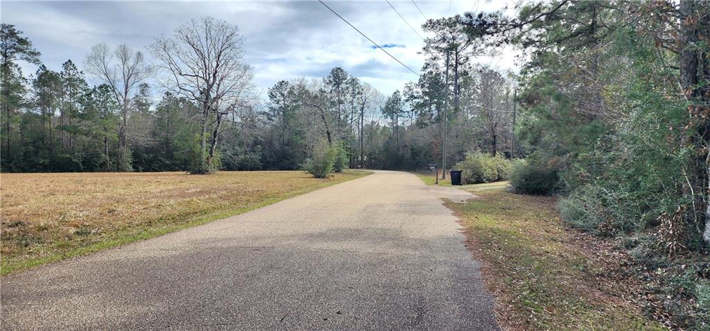 0 Loyd Road Bush, LA 70431 - Photo 5 of 7 Gallery Image 5