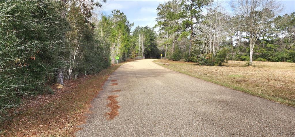 0 Loyd Road Bush, LA 70431 - Photo 6 of 7 Gallery Image 6