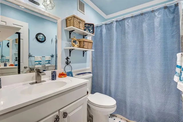 a bathroom with a sink a toilet and shower curtain