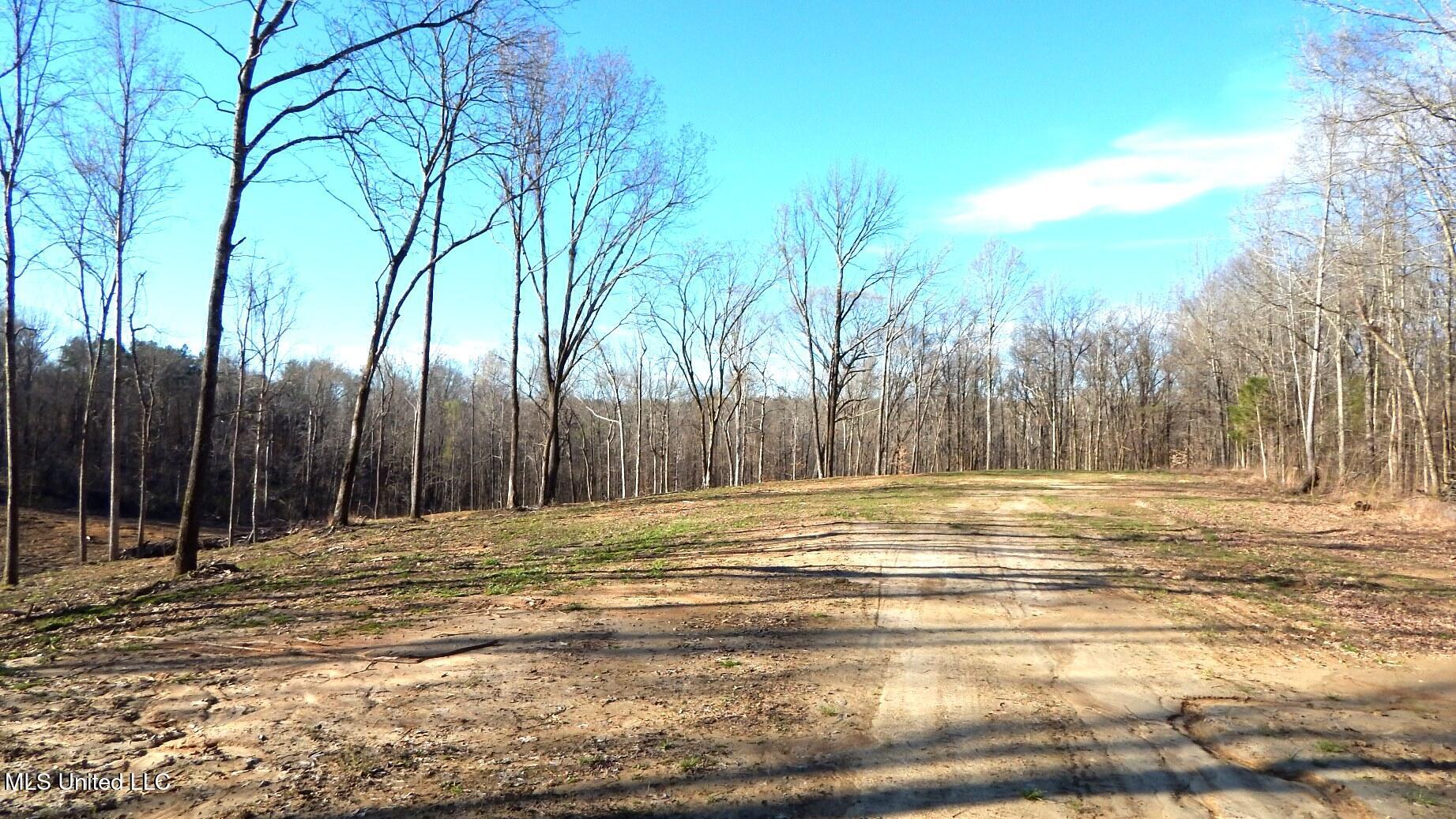 4577 Bluff Road Hernando, MS 38632 - Photo 5 of 57 DSCN6698