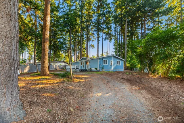 a view of a house with large trees and a small yard