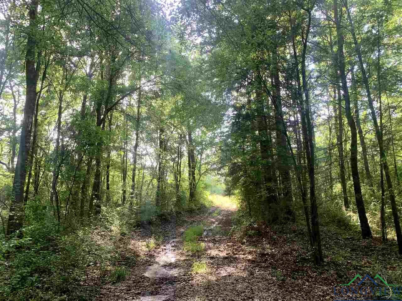 4105 Hall Road Daingerfield, TX 75638 - Photo 10 of 17 Gallery Image 10