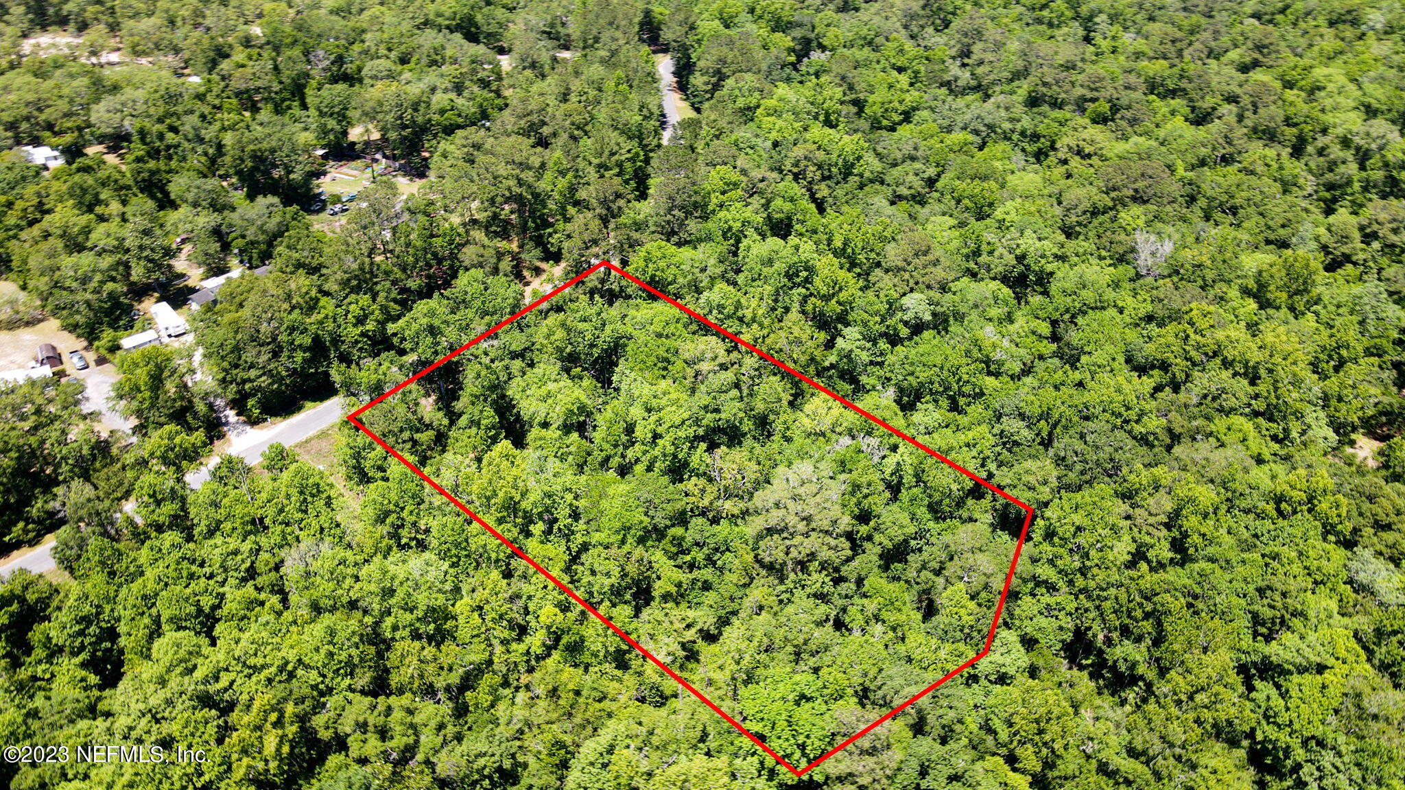 5291 Chicory Circle Middleburg, FL 32068 - Photo 11 of 14 a view of a lush green forest with a tree