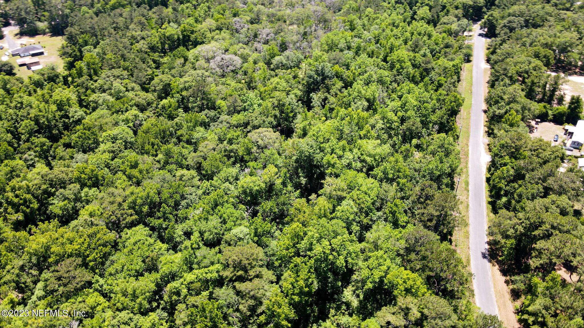 5291 Chicory Circle Middleburg, FL 32068 - Photo 2 of 14 a view of a lush green forest with a park