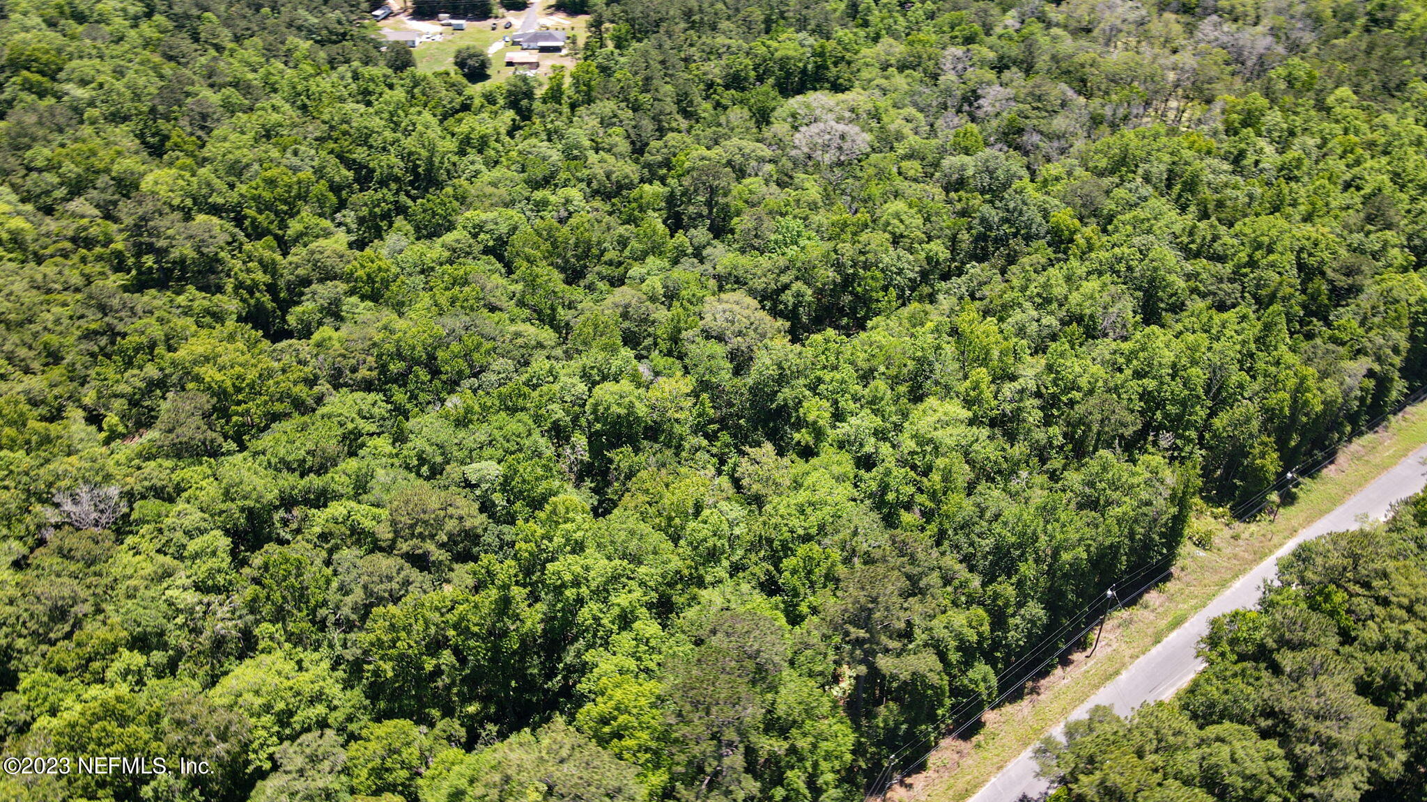 5291 Chicory Circle Middleburg, FL 32068 - Photo 4 of 14 a view of a large yard with plants and large trees