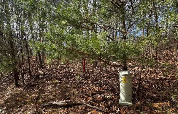 $24,900 | 0 Old Rocky Trail, Unit LOT K43, Menlo, GA 30731