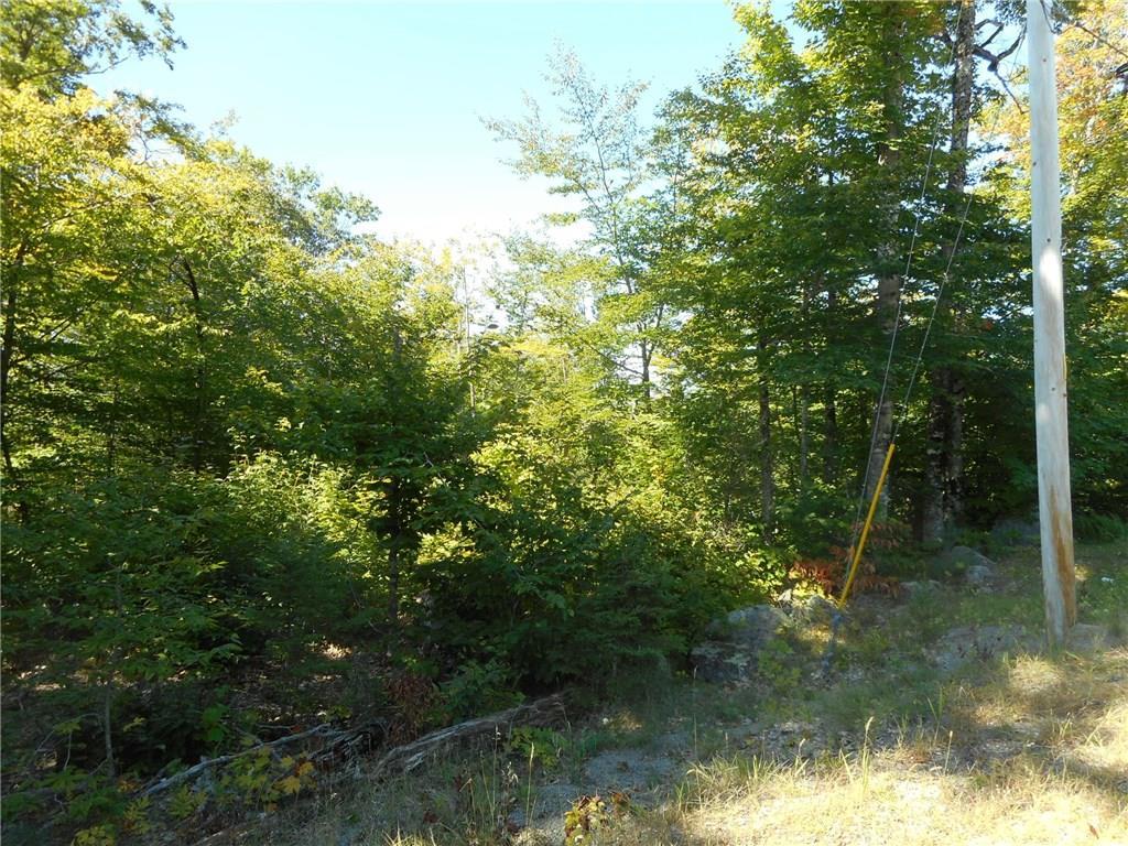 Lot 9 188th Route Lowell, ME 04493 - Photo 2 of 7 Photo