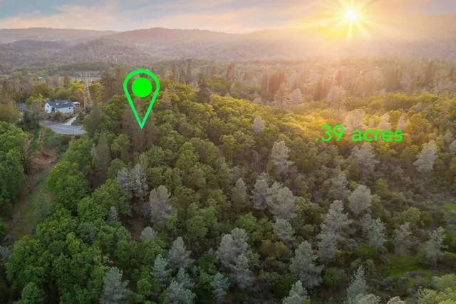 a view of a road with a trees