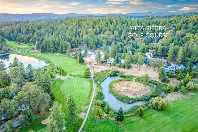 a view of a green yard with an trees
