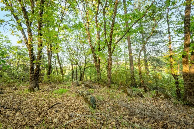 a view of backyard with green space