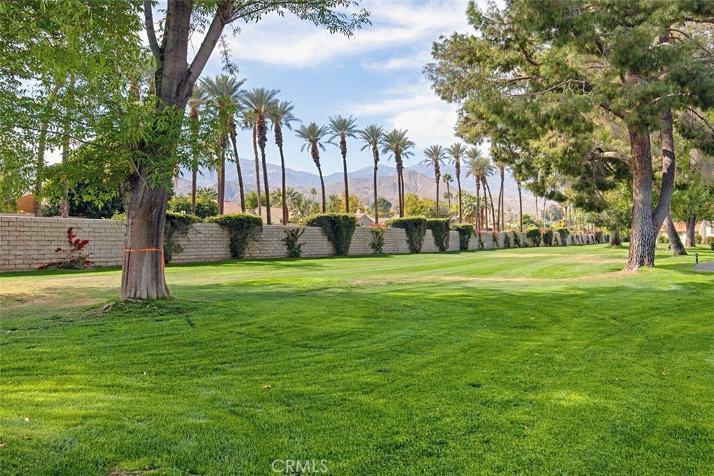 69707 Campana Court Rancho Mirage, CA 92270 - Photo 44 of 47 a view of a park with large trees