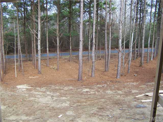 1135 Grace Road Benson, NC 27504 - Photo 2 of 9 View from front porch