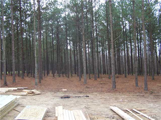 1135 Grace Road Benson, NC 27504 - Photo 3 of 9 View from Family Room