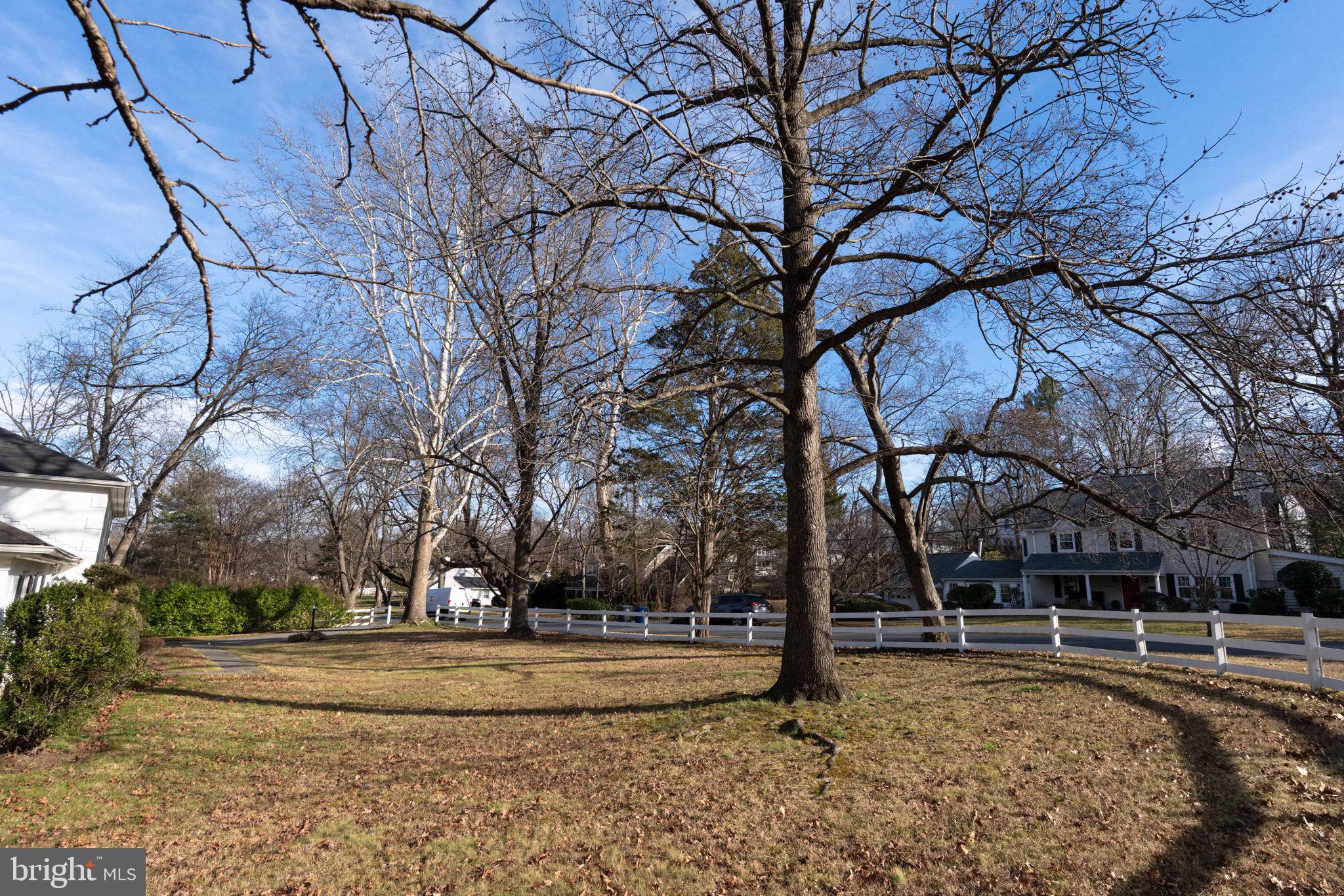 6008 Beech Tree Drive Alexandria, VA 22310 - Photo 5 of 9 a view of yard with trees