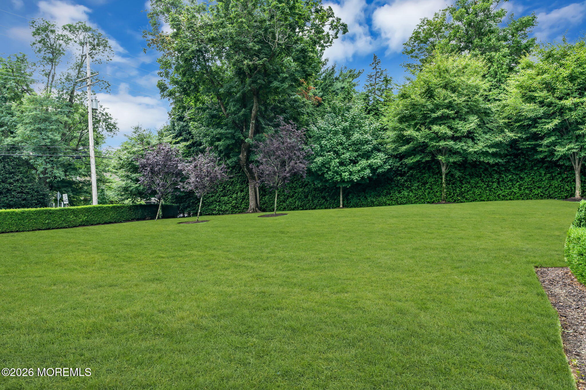 586 Ridge Road Fair Haven, NJ 07704 - Photo 84 of 94 105-web-or-mls-DSC00894-1