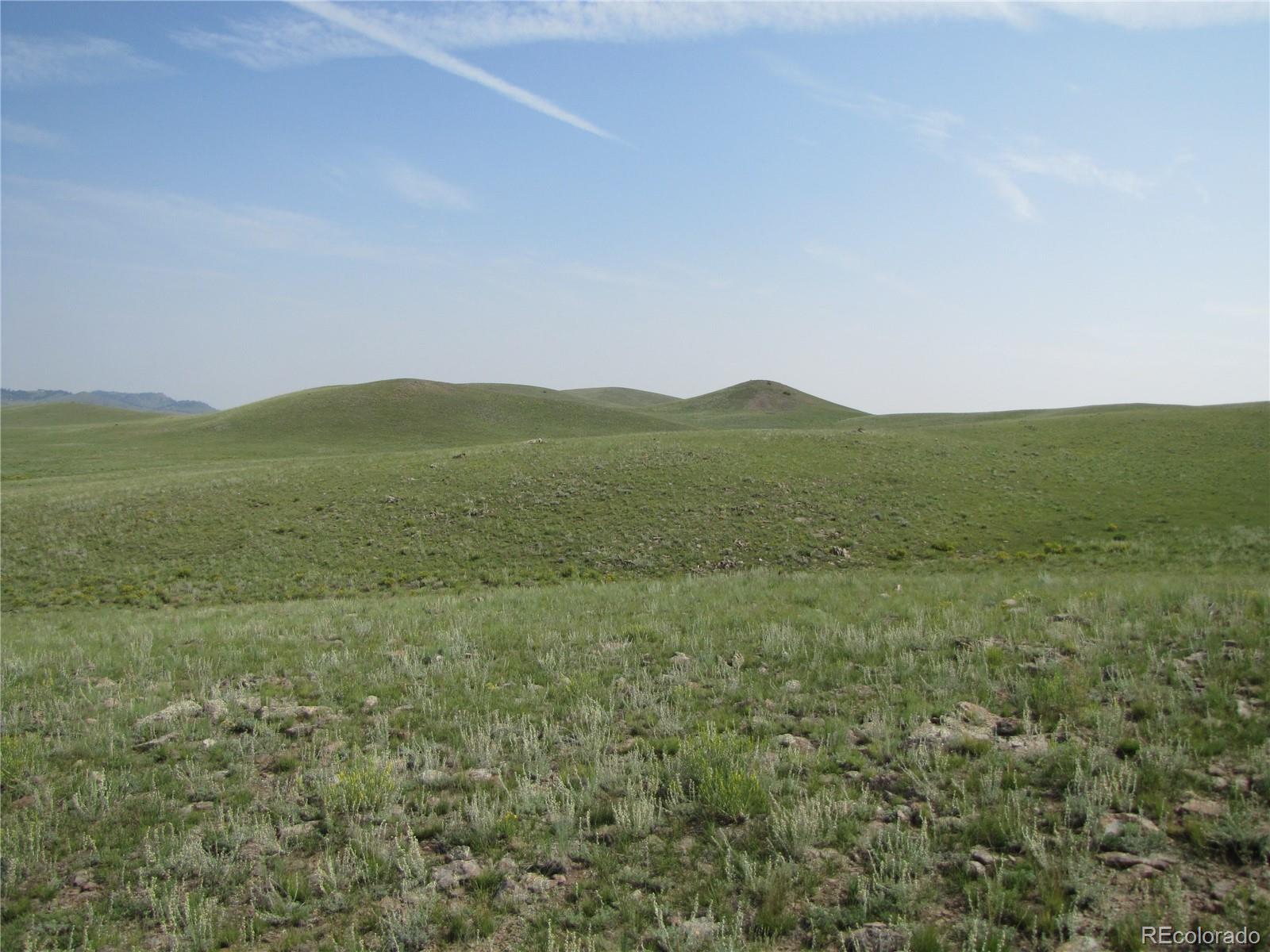 5530 Watonga Road Hartsel, CO 80449 - Photo 1 of 8