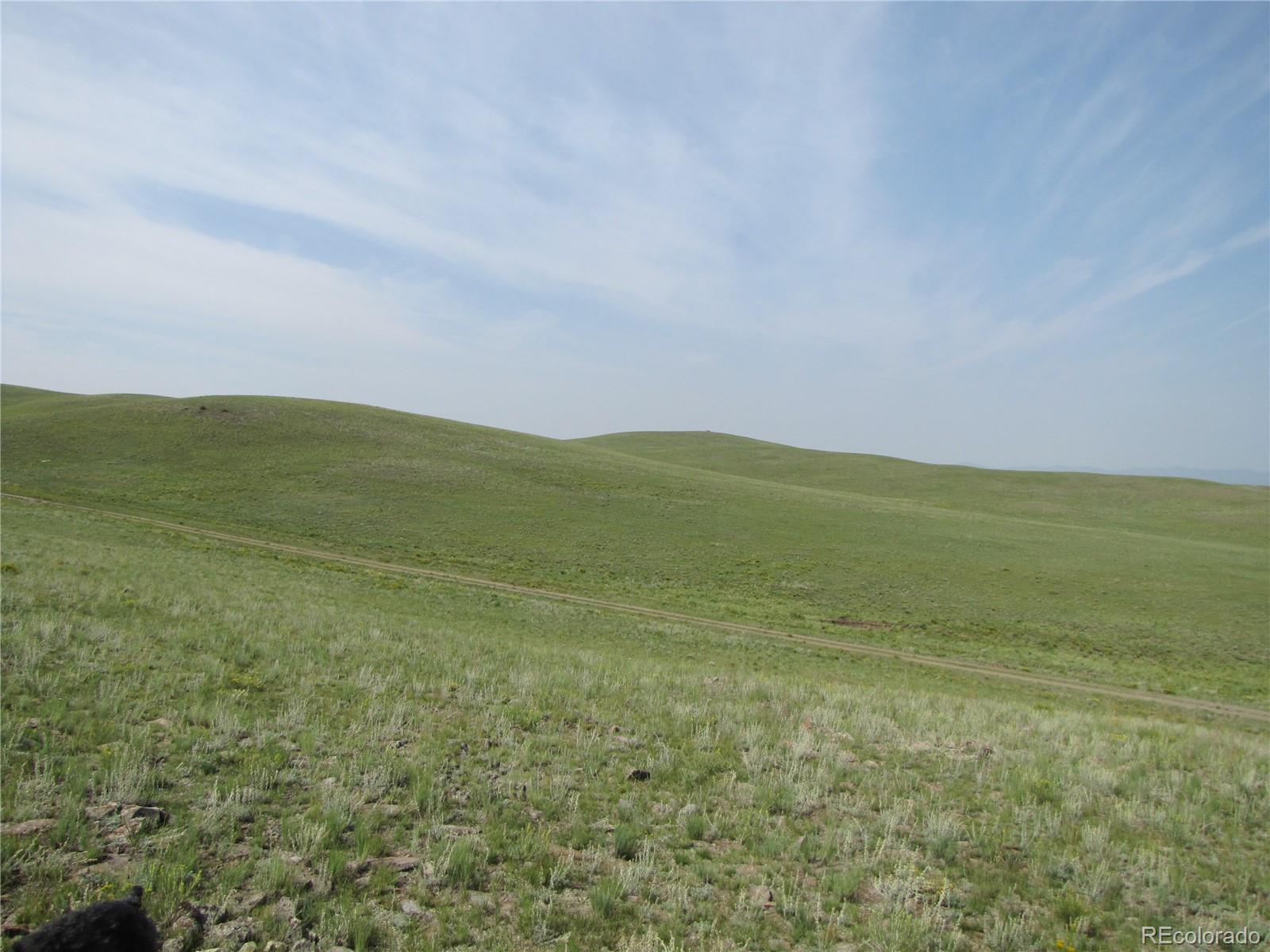 5530 Watonga Road Hartsel, CO 80449 - Photo 5 of 8