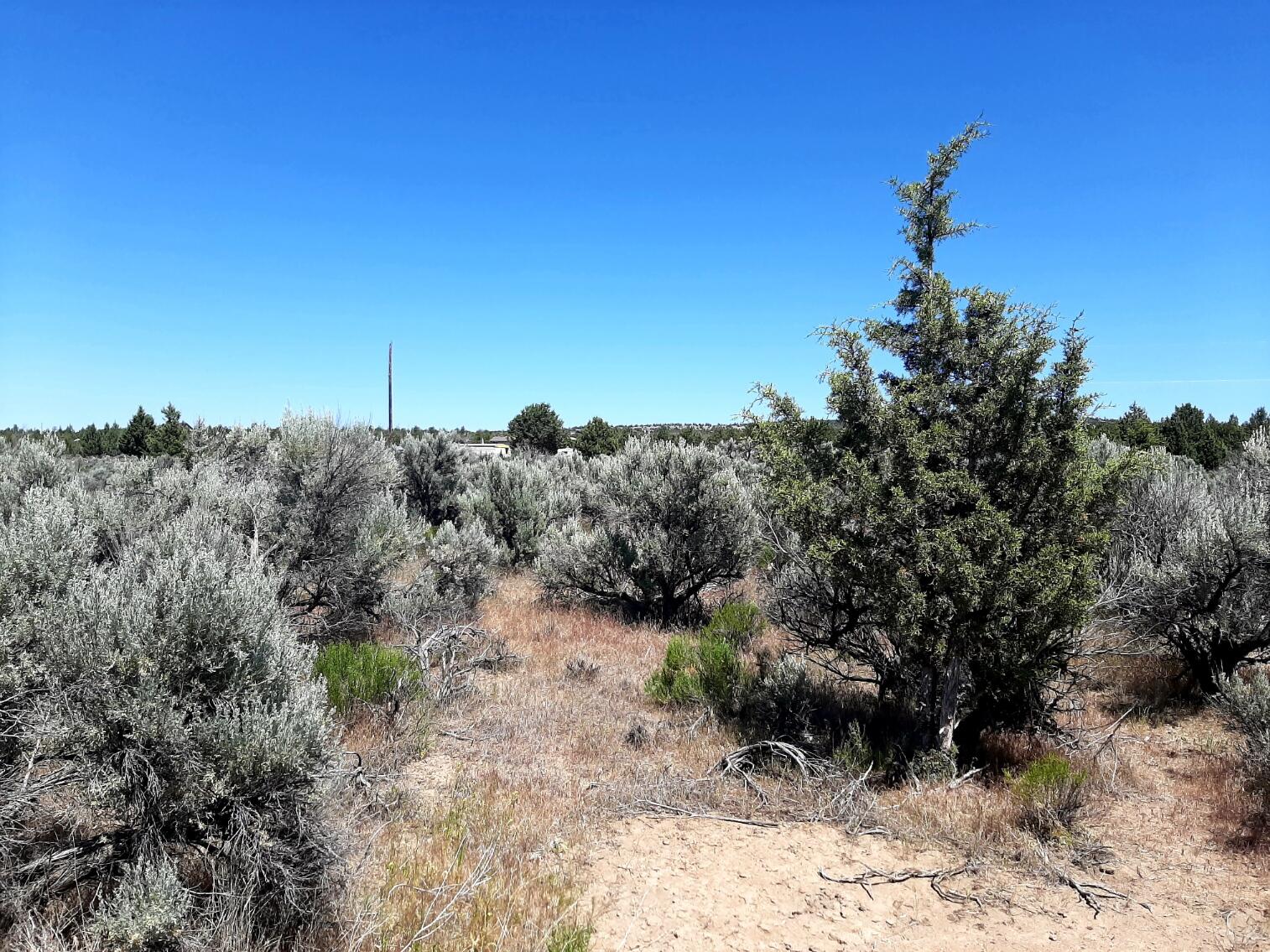 Southeast Snake Road Prineville, OR 97754 - Photo 5 of 11 5