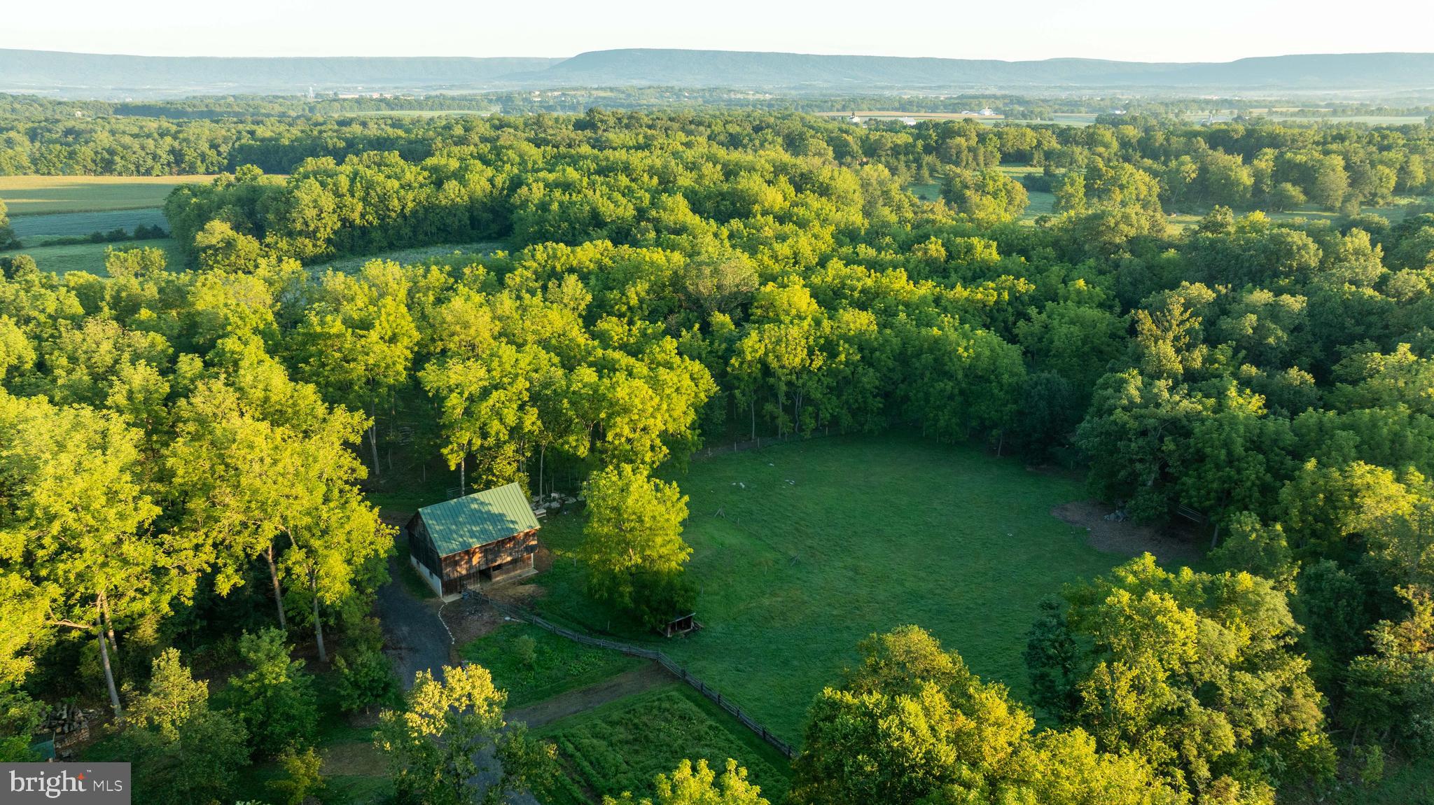 a view of a green field with lots of plants