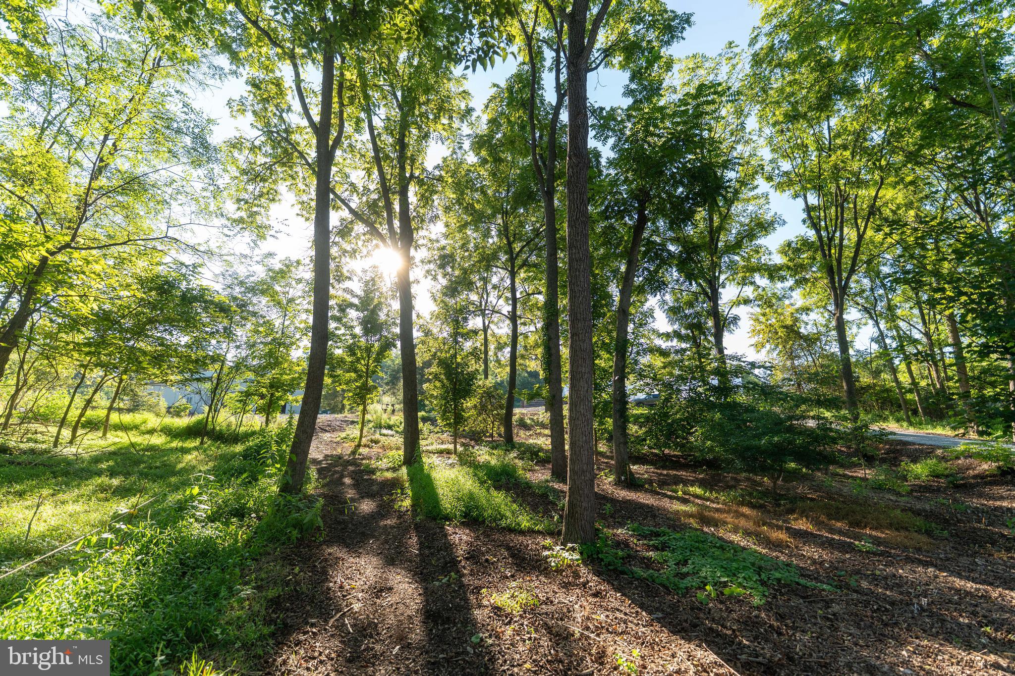 3171 Ritner Highway Newville, PA 17241 - Photo 28 of 63 a view of forest