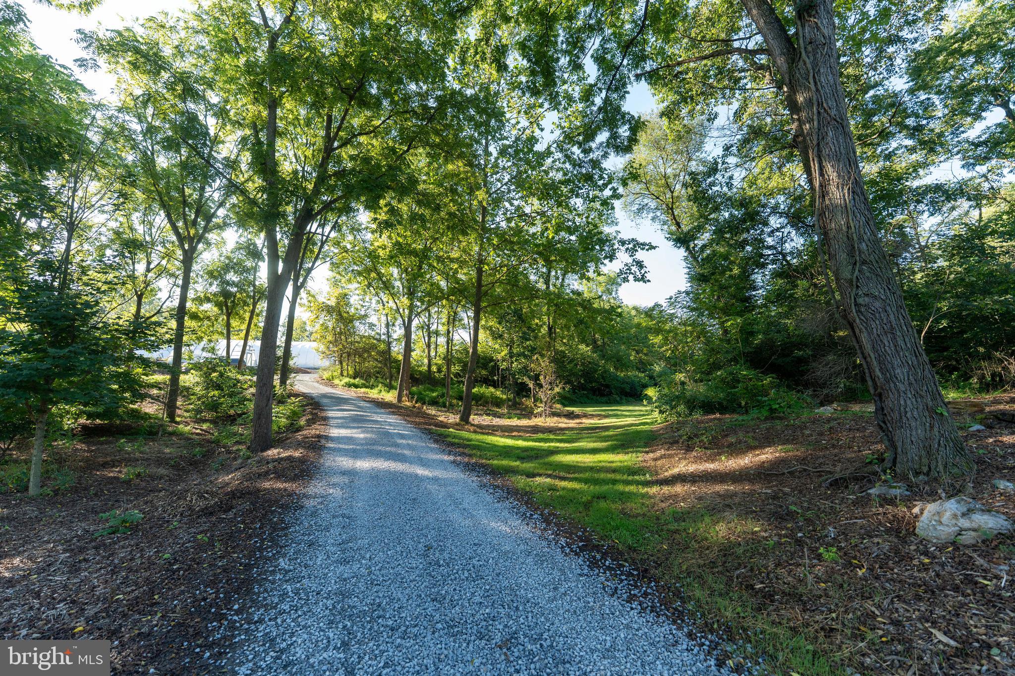 3171 Ritner Highway Newville, PA 17241 - Photo 30 of 63 a big yard with lots of green space and trees