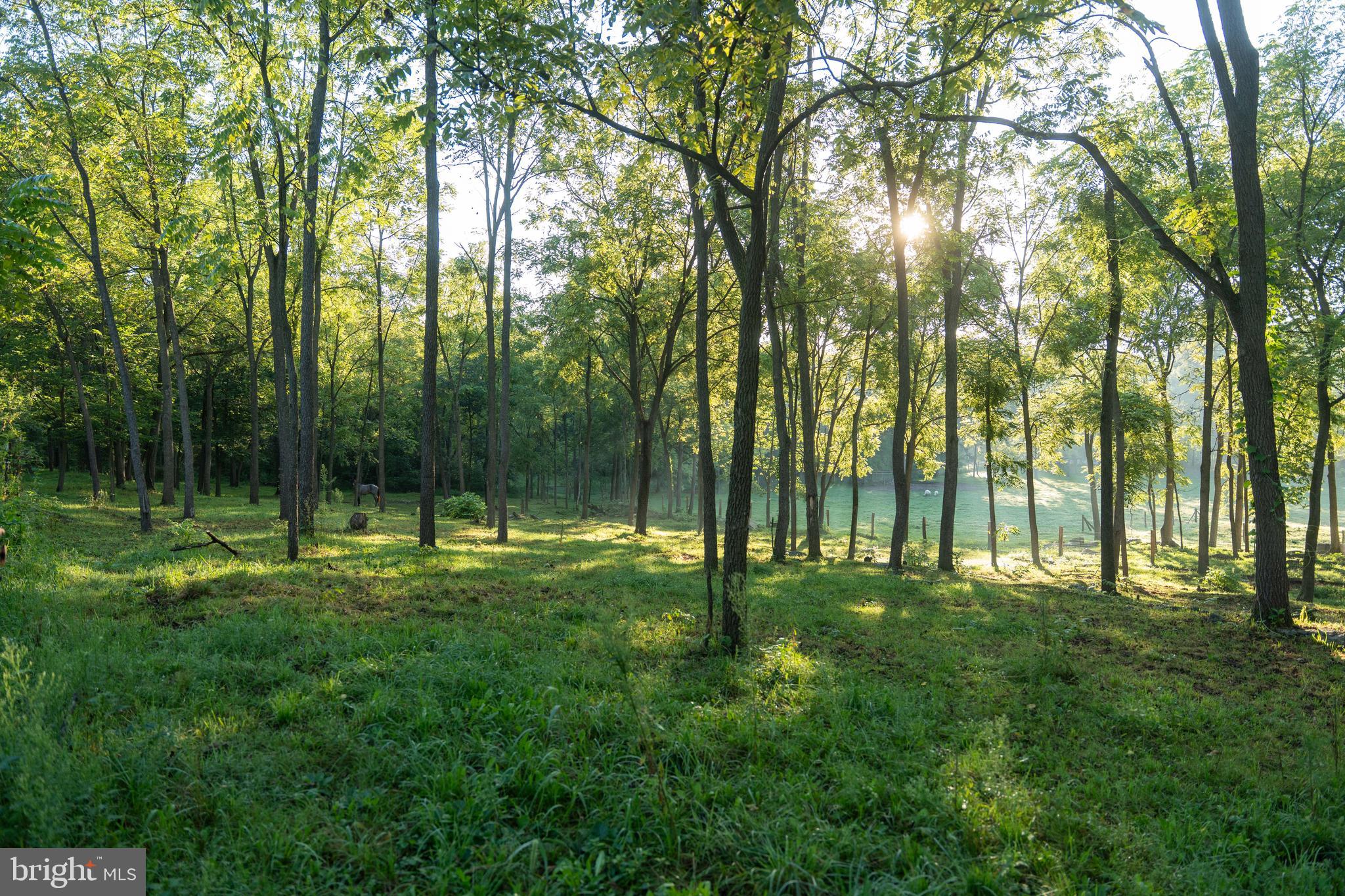 3171 Ritner Highway Newville, PA 17241 - Photo 32 of 63