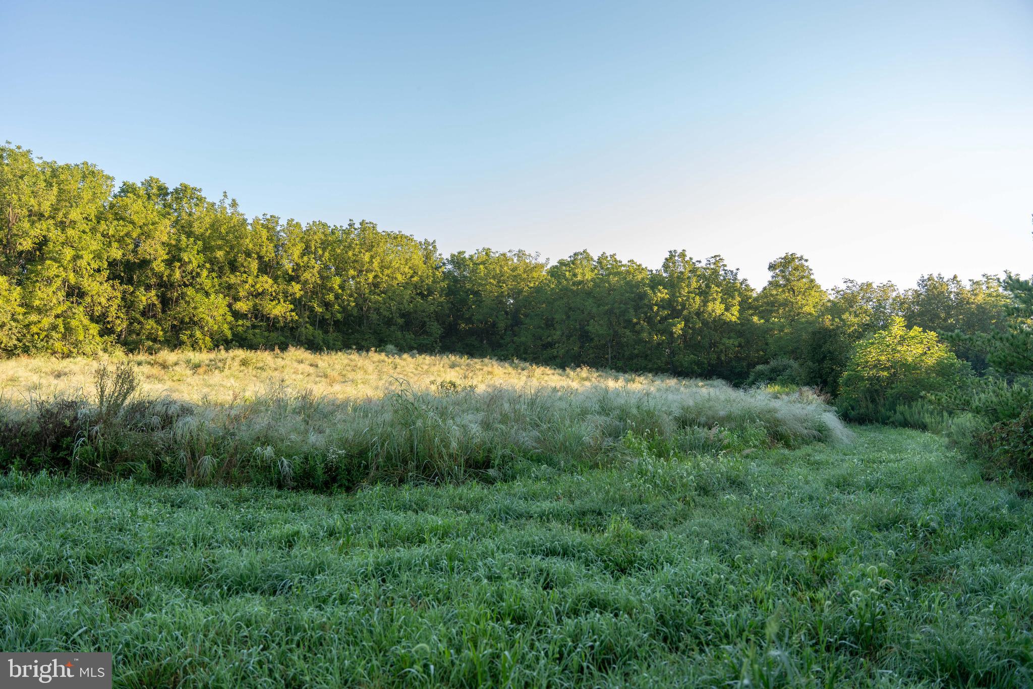 3171 Ritner Highway Newville, PA 17241 - Photo 35 of 63 a view of mountain with green field