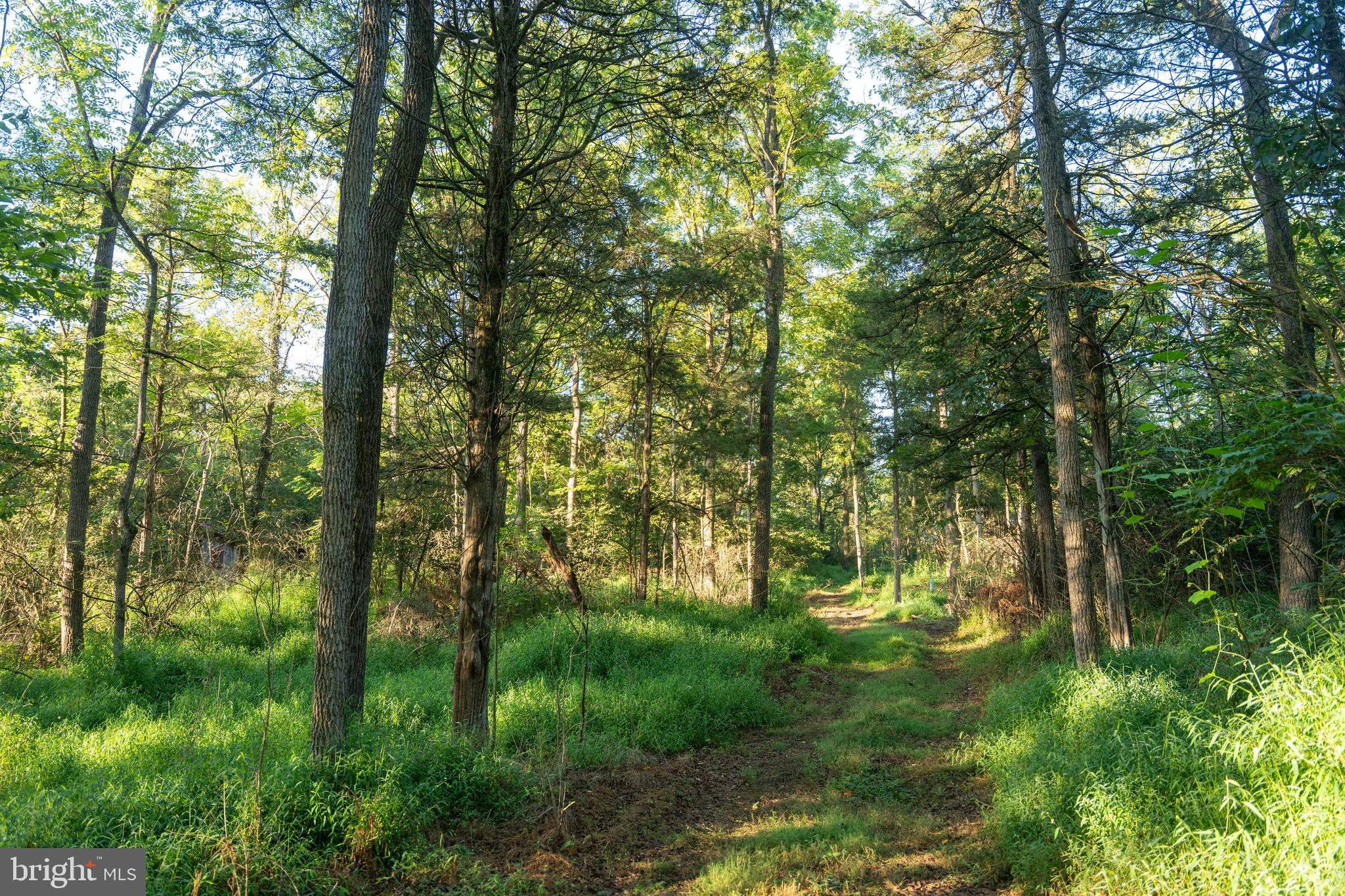3171 Ritner Highway Newville, PA 17241 - Photo 37 of 63 a backyard of a house with lots of green space