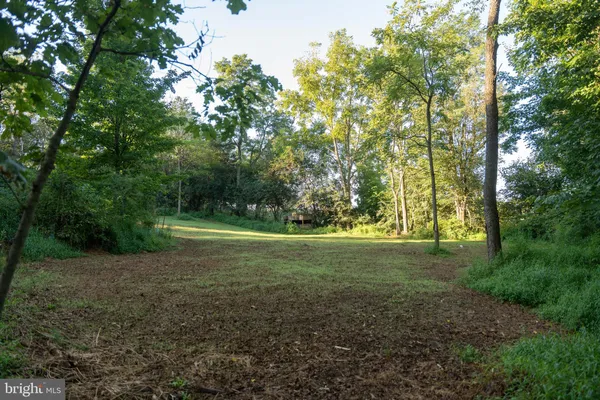 a view of outdoor space and yard