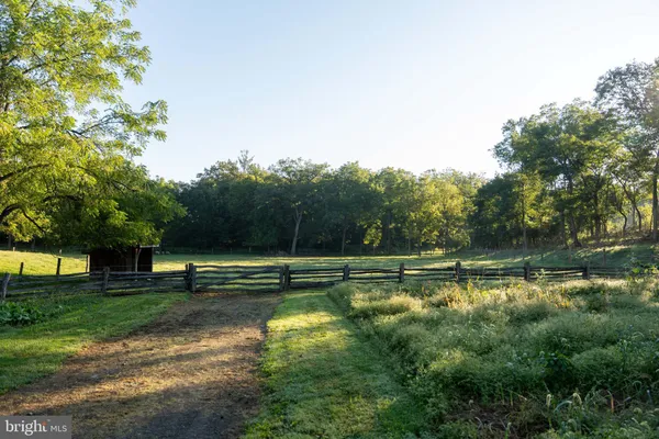 a dining room with furniture and a potted plant