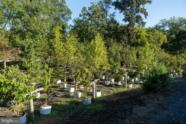 a view of a lake with a mountain in the background