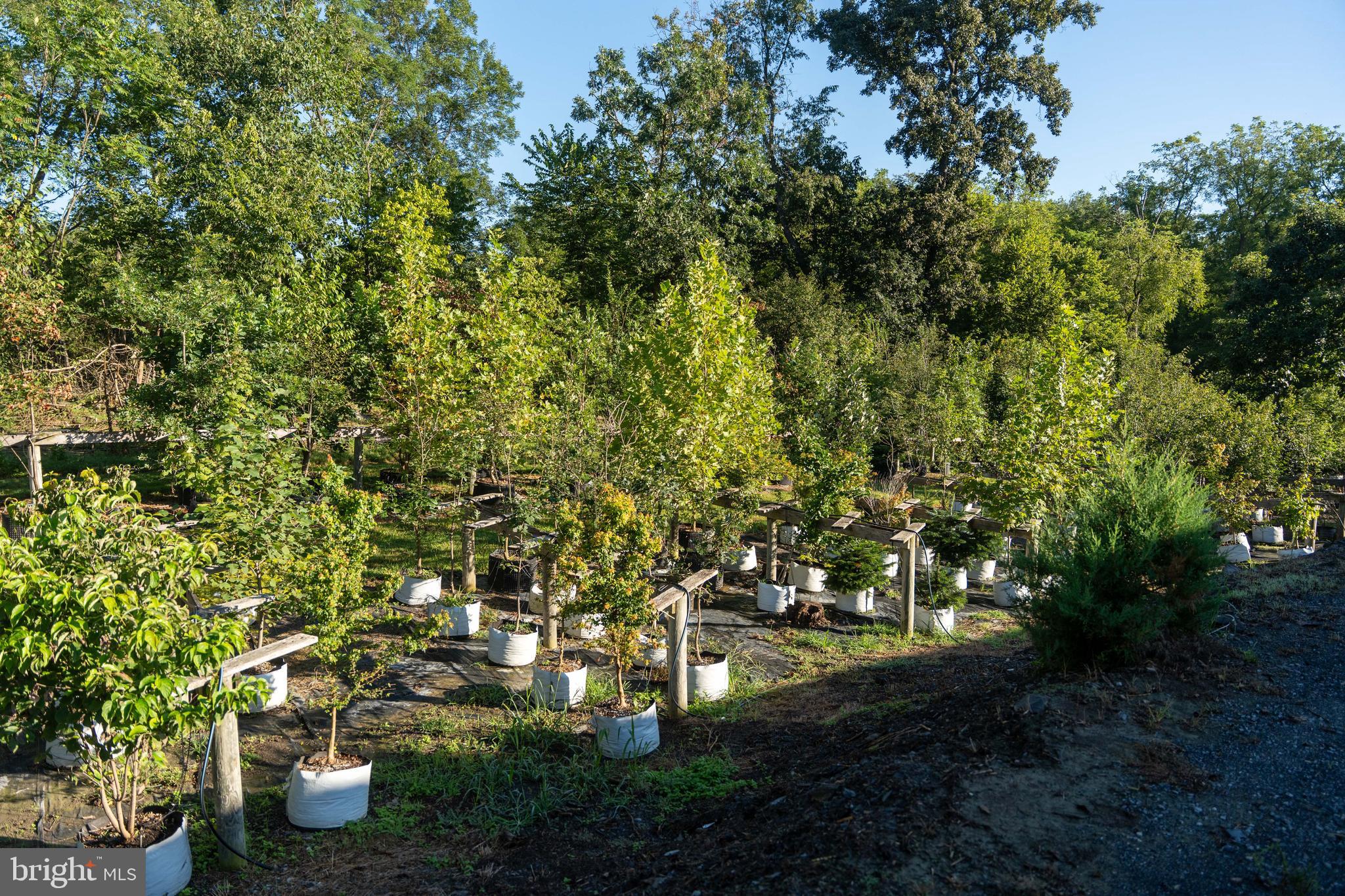 3171 Ritner Highway Newville, PA 17241 - Photo 49 of 63 a view of outdoor space and yard