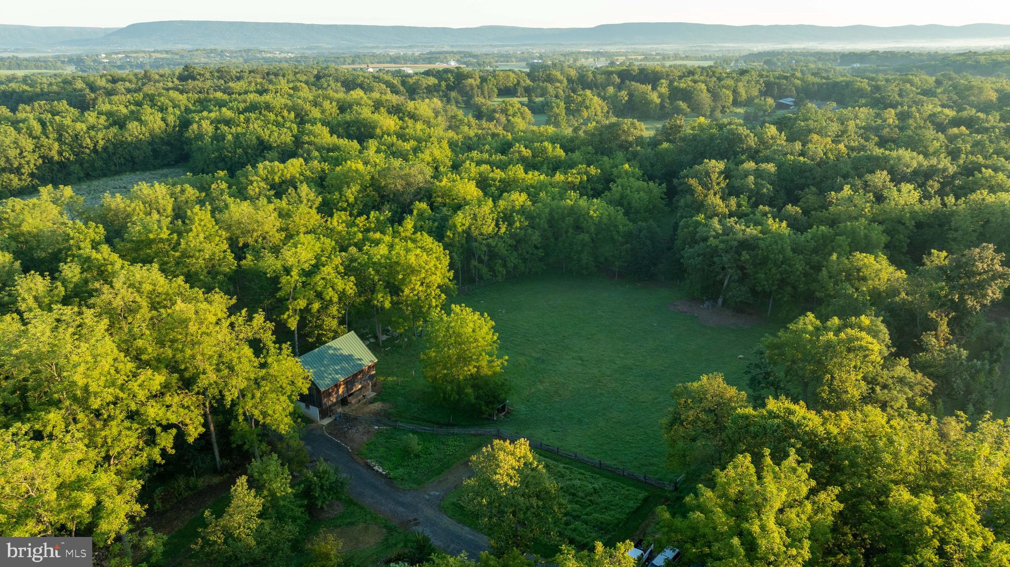 3171 Ritner Highway Newville, PA 17241 - Photo 63 of 63 a view of a lush green forest with a lake view