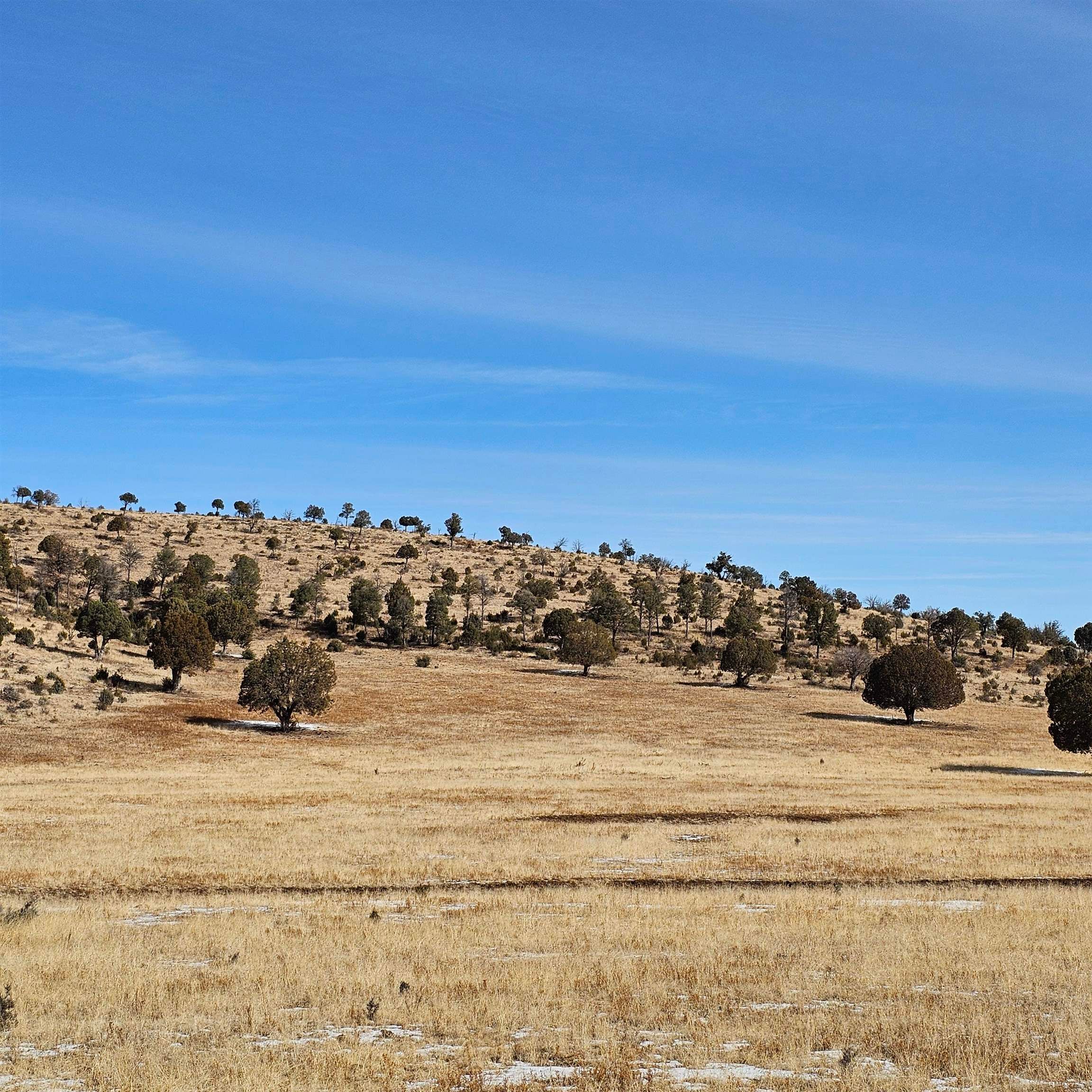 0 Miller Flats Road Mayhill, NM 88339 - Photo 23 of 39 Gallery Image 23