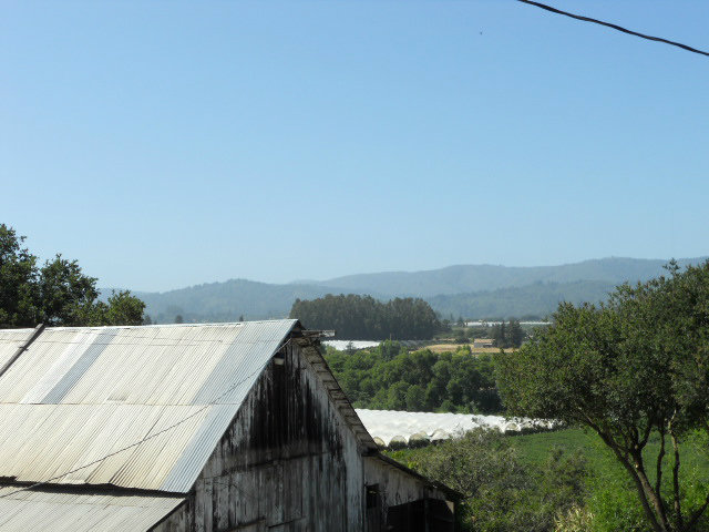 864 Green Valley Road Watsonville, CA 95076 - Photo 15 of 25 a view of a balcony with an outdoor seating