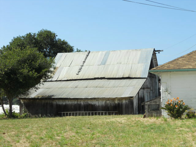 864 Green Valley Road Watsonville, CA 95076 - Photo 19 of 25 a view of swimming pool with a yard and large tree