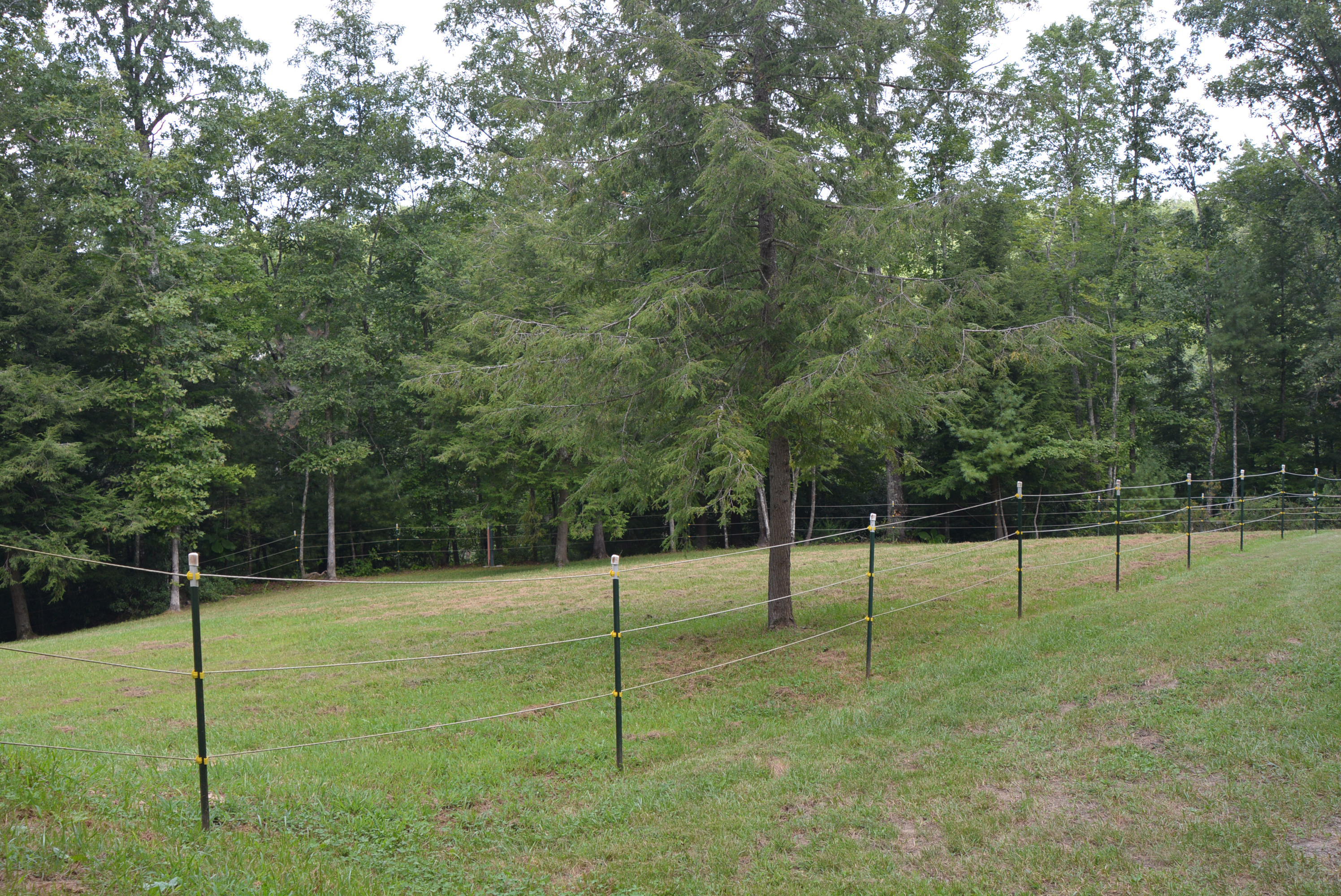 750 End Of Trail Road Allardt, TN 38504 - Photo 29 of 39 DSC_0562