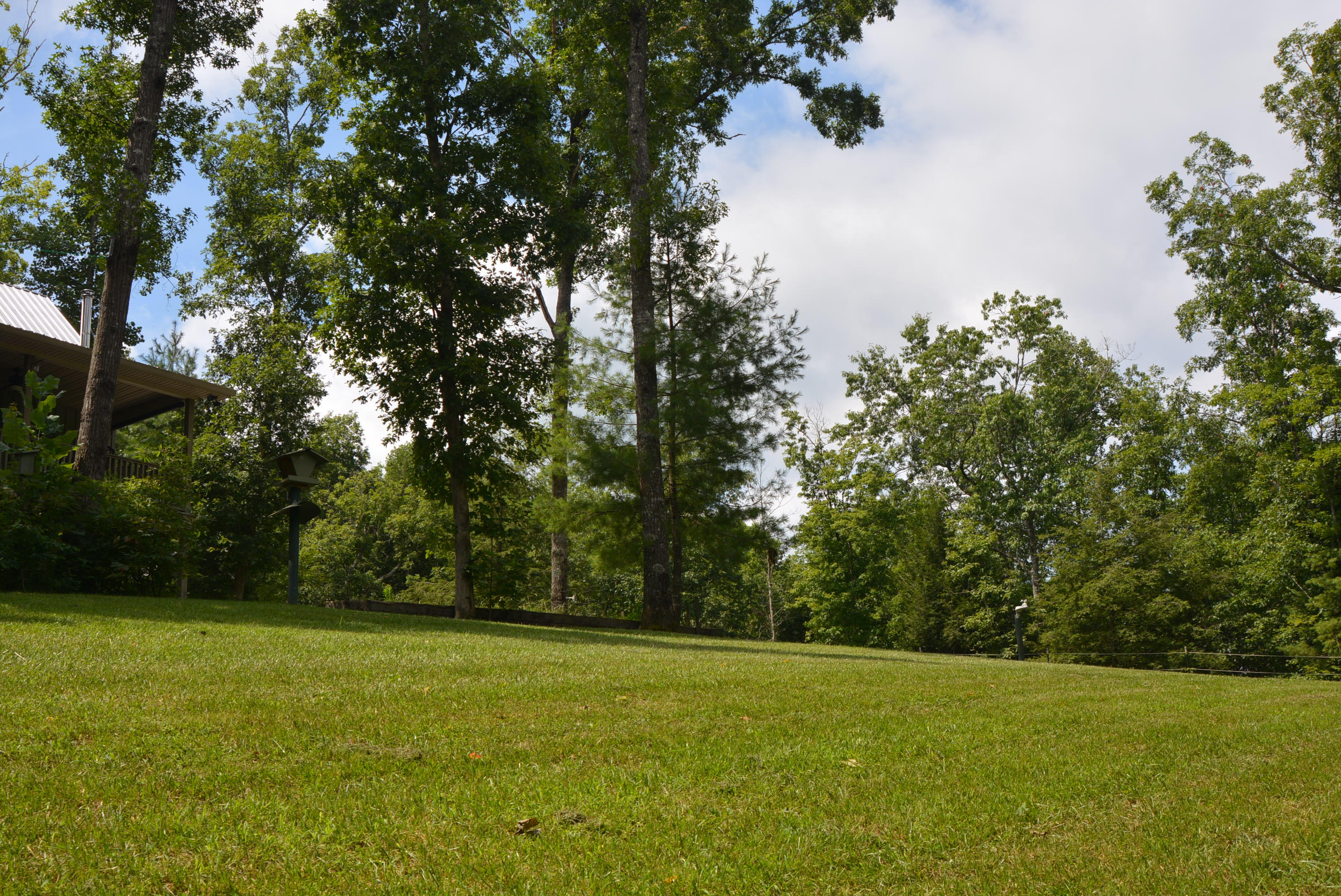 750 End Of Trail Road Allardt, TN 38504 - Photo 31 of 39 DSC_0571