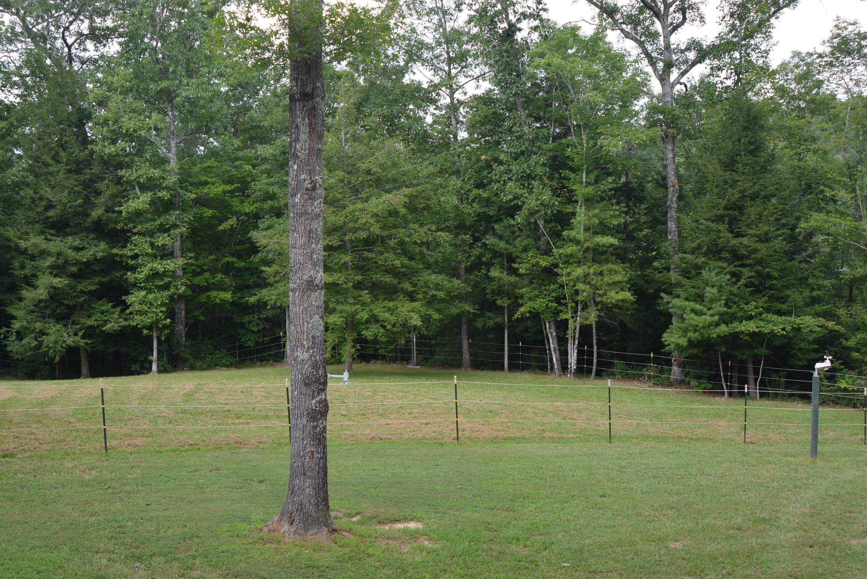 750 End Of Trail Road Allardt, TN 38504 - Photo 35 of 39 DSC_0550