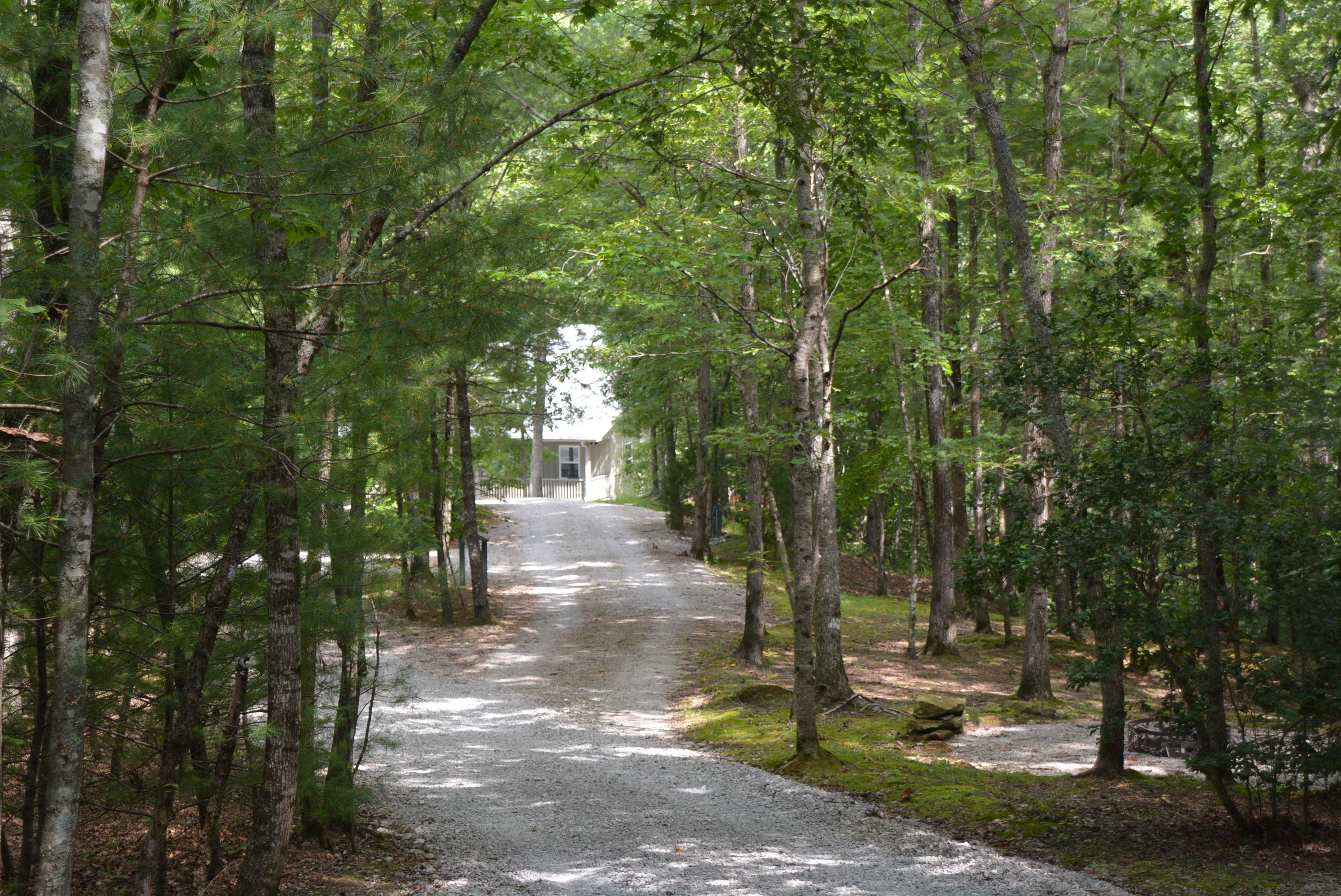 750 End Of Trail Road Allardt, TN 38504 - Photo 5 of 39 DSC_0480