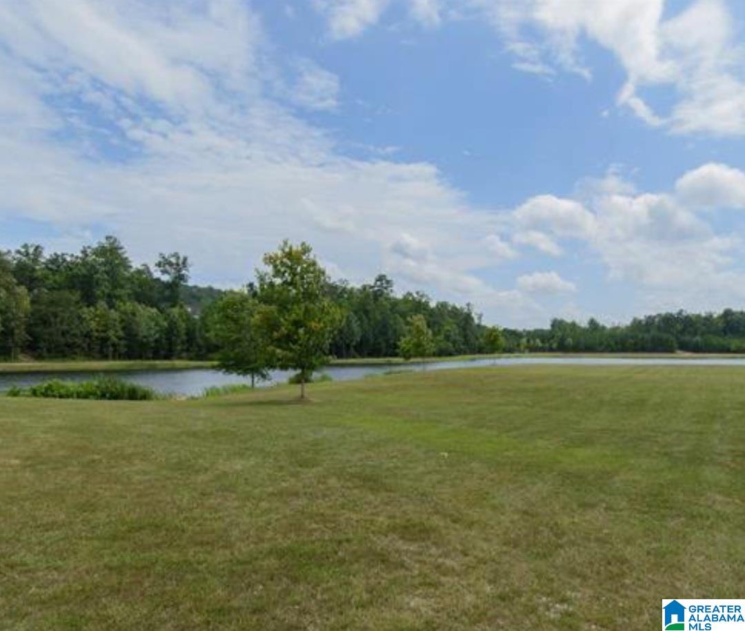 4060 Forest Lakes Road Sterrett, AL 35147 - Photo 8 of 9