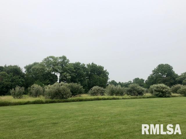 0 Taylor Homestead Road Pleasant Plains, IL 62677 - Photo 1 of 1 Gallery Image 1