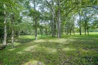 24831 River Terrace Road Huffman, TX 77336 - Photo 2 of 9 a view of grassy field with trees