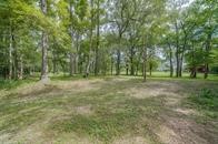 24831 River Terrace Road Huffman, TX 77336 - Photo 3 of 9 a view of outdoor space with trees all around