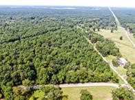 24831 River Terrace Road Huffman, TX 77336 - Photo 9 of 9 a view of a forest with a street