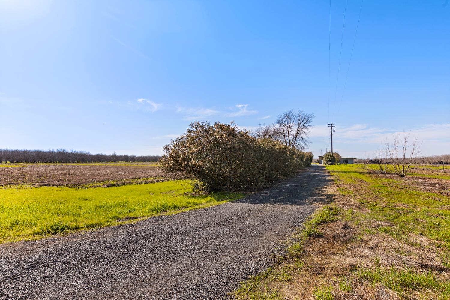 3781 Larkin Road Biggs, CA 95917 - Photo 16 of 17