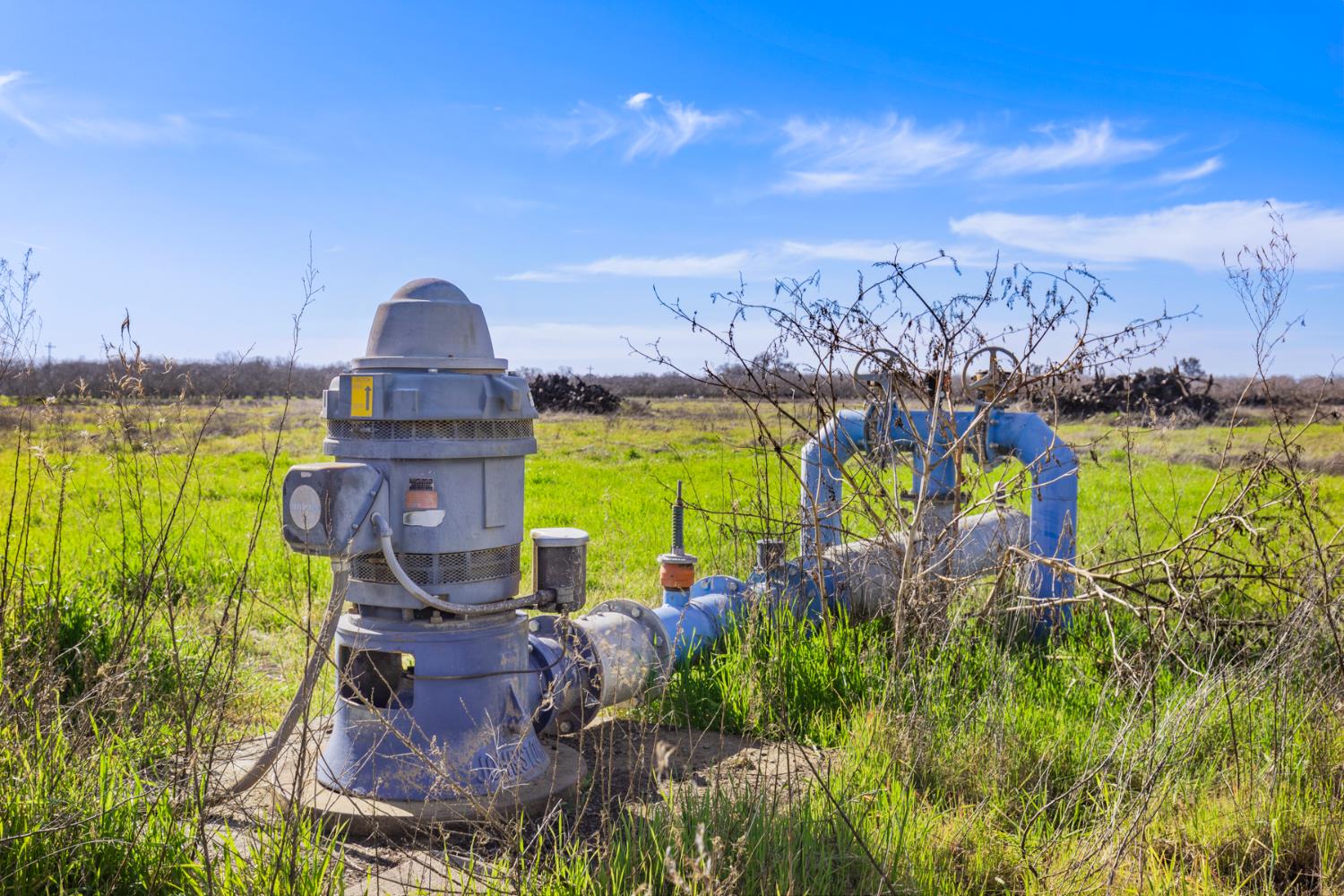 3781 Larkin Road Biggs, CA 95917 - Photo 8 of 17