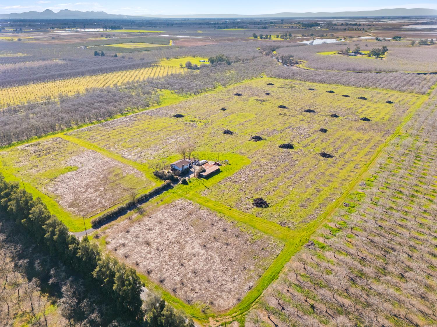 3781 Larkin Road Biggs, CA 95917 - Photo 10 of 17