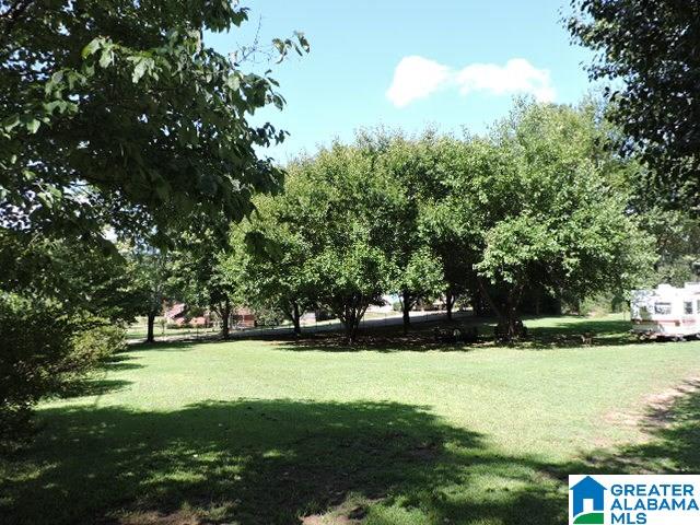 330 Louina Road Roanoke, AL 36274 - Photo 2 of 22